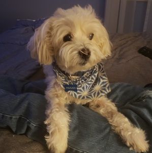 Meet your Posher, Paula